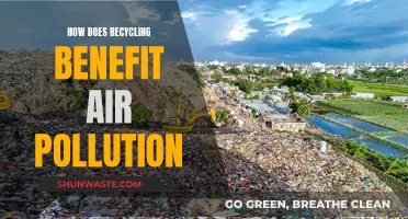 Recycling: Reducing Air Pollution and Improving Air Quality