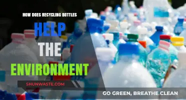 Recycling Bottles: A Simple Step Towards a Greener, Healthier Planet
