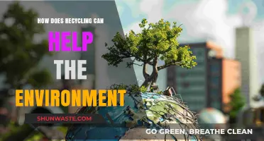 Recycling's Impact: How Reusing Materials Protects Our Environment Effectively