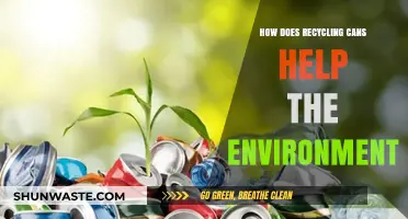 Recycling Cans: A Simple Step to Save Our Planet