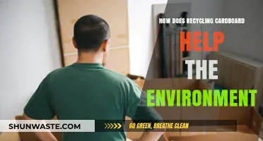 Recycling Cardboard: Sustainable Practices to Protect Our Environment and Resources
