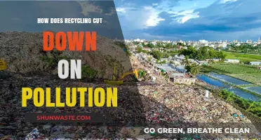 Recycling: Reducing Pollution, Creating a Sustainable Future