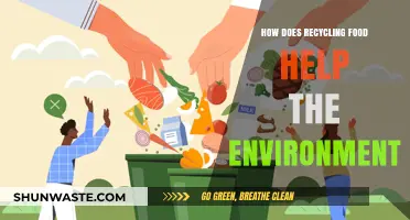 Recycling Food: A Sustainable Solution to Reduce Waste and Protect Our Planet