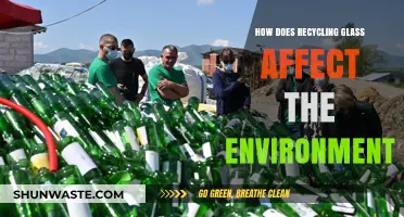 Recycling Glass: Environmental Benefits and Impact on Sustainability Explained