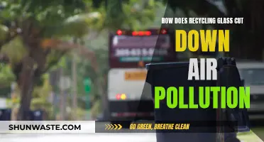 Glass Recycling: Reducing Air Pollution, Improving Sustainability