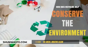 Recycling's Role: Protecting Ecosystems, Saving Resources, and Preserving Our Planet