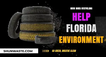 Recycling's Impact: Protecting Florida's Environment and Preserving Natural Beauty