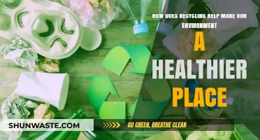 Recycling's Impact: Creating a Healthier, Sustainable Environment for All