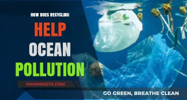 Recycling: Saving Oceans, One Step at a Time