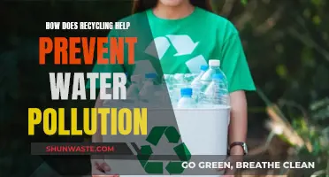 Recycling's Role: Protecting Water, Preserving Life