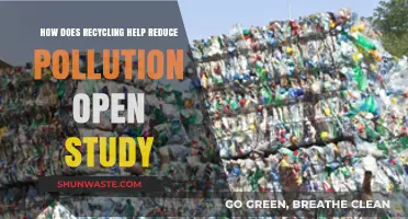 Recycling: Reducing Pollution, Saving the Planet