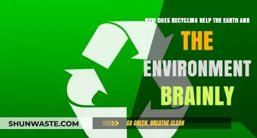 Recycling's Impact: How It Protects Our Planet and Environment