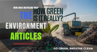 Recycling's Impact: How Reusing Materials Protects Our Environment Effectively