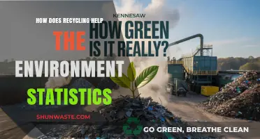 Recycling's Environmental Impact: Key Stats on Sustainability and Conservation