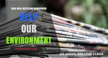 Recycling Newspapers: A Simple Step Toward a Greener, Healthier Planet