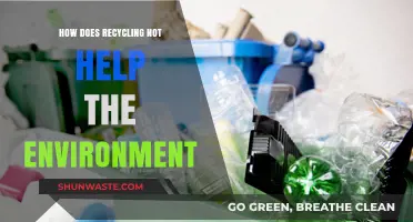 Recycling's Dark Side: Unveiling Environmental Myths and Hidden Costs