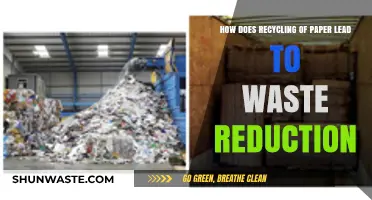 Recycling Paper: A Sustainable Path to Reducing Waste Effectively