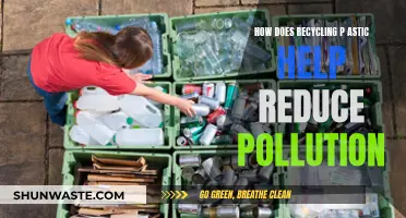 Recycling Plastic: Reducing Pollution, Saving the Planet