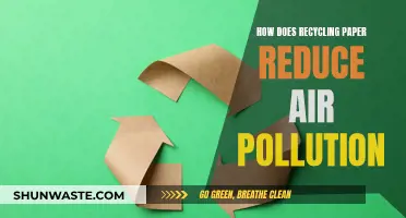 Recycling Paper: Reducing Air Pollution and Saving Trees