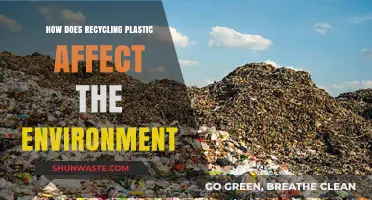 Recycling Plastic: Environmental Impact and Sustainable Solutions Explained