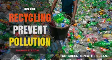 Recycling: Preventing Pollution and Protecting Our Planet