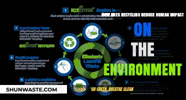 Recycling's Role: Minimizing Human Environmental Footprint and Preserving Ecosystems