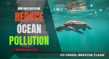 Recycling: Reducing Ocean Pollution, Saving Marine Life