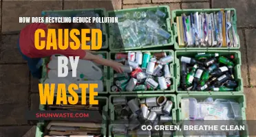 Recycling's Impact: How Waste Reduction Fights Pollution