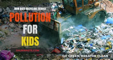 Recycling: Fighting Pollution, Saving the Planet for Our Kids