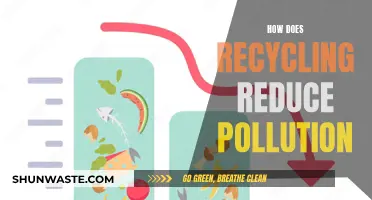 Recycling: Pollution Reduction through Waste Reuse