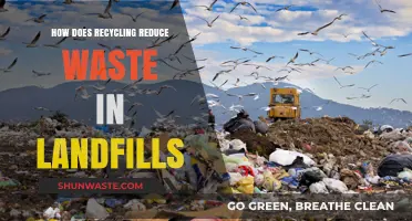 Recycling's Impact: Reducing Landfill Waste and Promoting Sustainability