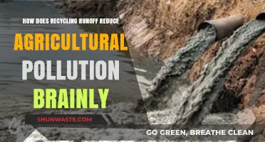 Recycling Runoff: Reducing Agricultural Pollution