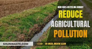 Reducing Agricultural Pollution: Recycling Runoff's Impact