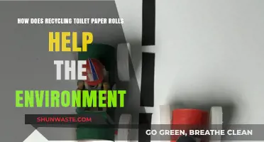 Recycling Toilet Paper Rolls: Small Act, Big Environmental Impact