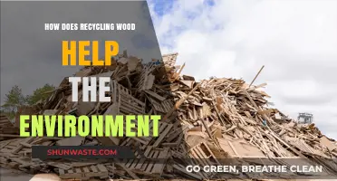 Recycling Wood: Sustainable Practices to Protect Forests and Reduce Waste