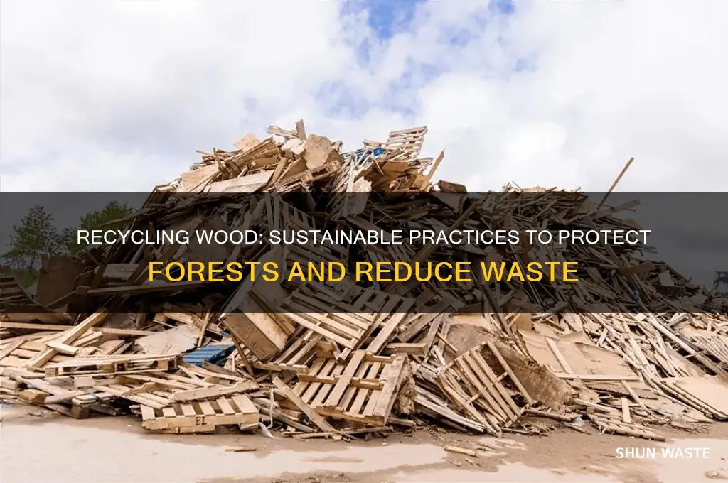 how does recycling wood help the environment