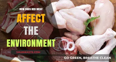 Red Meat's Environmental Impact: Uncovering Its Hidden Ecological Footprint