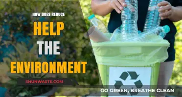 Reducing Waste: Simple Steps for a Greener, Healthier Planet