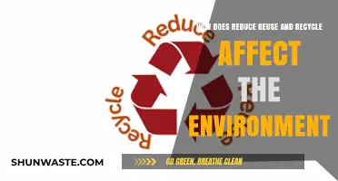 Reduce, Reuse, Recycle: Transforming Environmental Impact Through Sustainable Practices