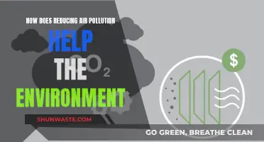 Reducing Air Pollution: Saving Our Planet, One Breath at a Time