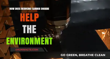 Cutting Carbon Dioxide: A Vital Step for Environmental Preservation