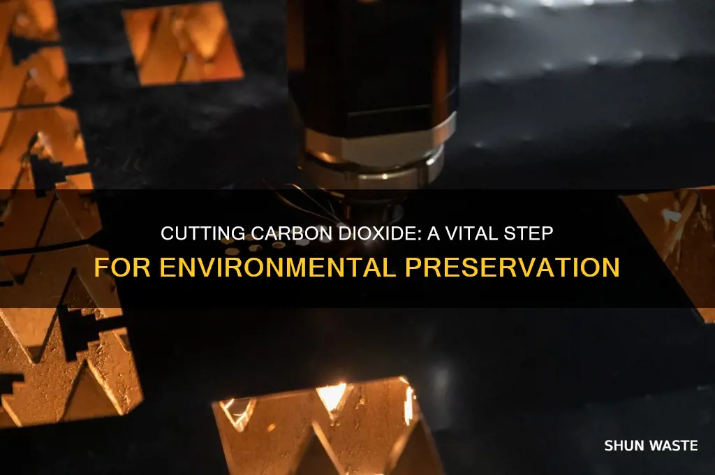 how does reducing carbon dioxide help the environment