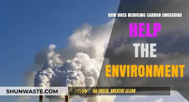 Cutting Carbon Emissions: A Vital Step for Environmental Preservation
