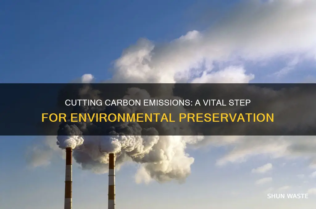 how does reducing carbon emissions help the environment