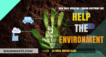 Reducing Carbon Footprint: Why It’s Not Enough to Save the Environment