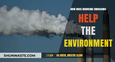 Cutting Emissions: A Powerful Step Toward Healing Our Planet