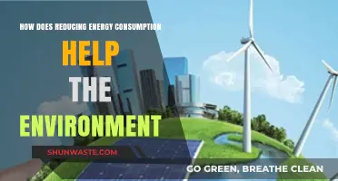Cutting Energy Use: A Powerful Step Toward Environmental Sustainability