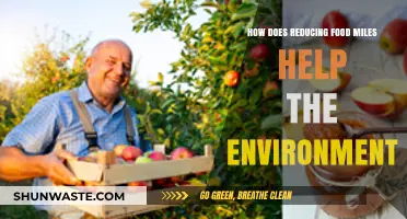 Shorter Food Miles, Greener Planet: Environmental Benefits of Local Eating