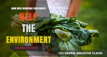 Cutting Food Waste: A Powerful Step Toward Environmental Sustainability