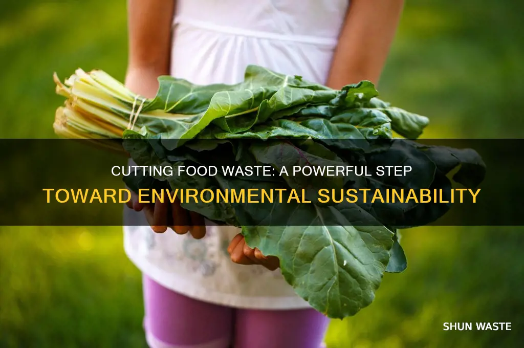how does reducing food waste help the environment